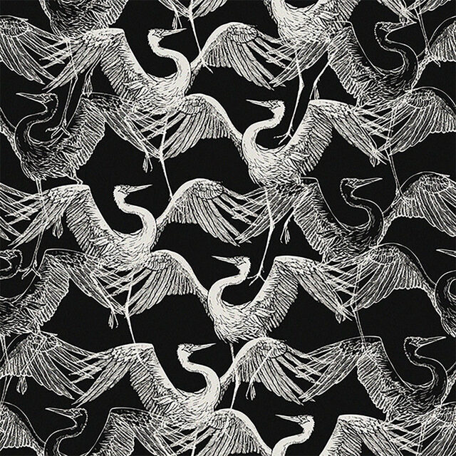 Birds OF Mind