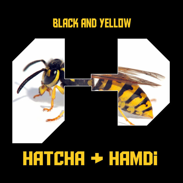 Hatcha