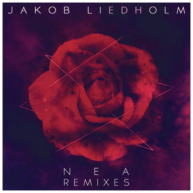 Jakob Liedholm